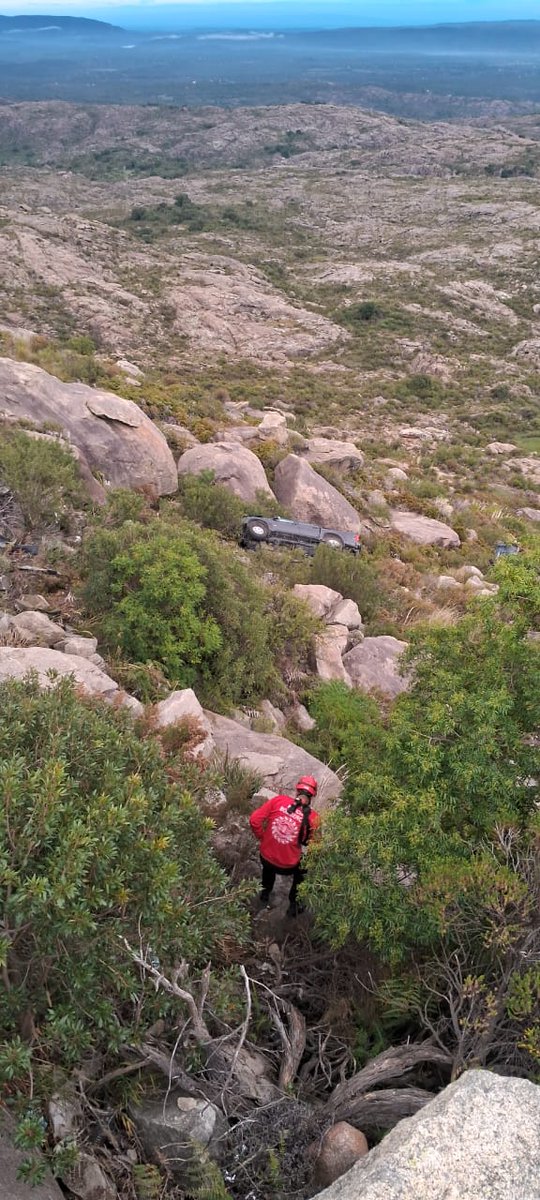 Manuel Frascaroli tweet media