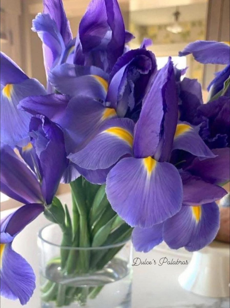 Marí Aveleyra 🌹 tweet media