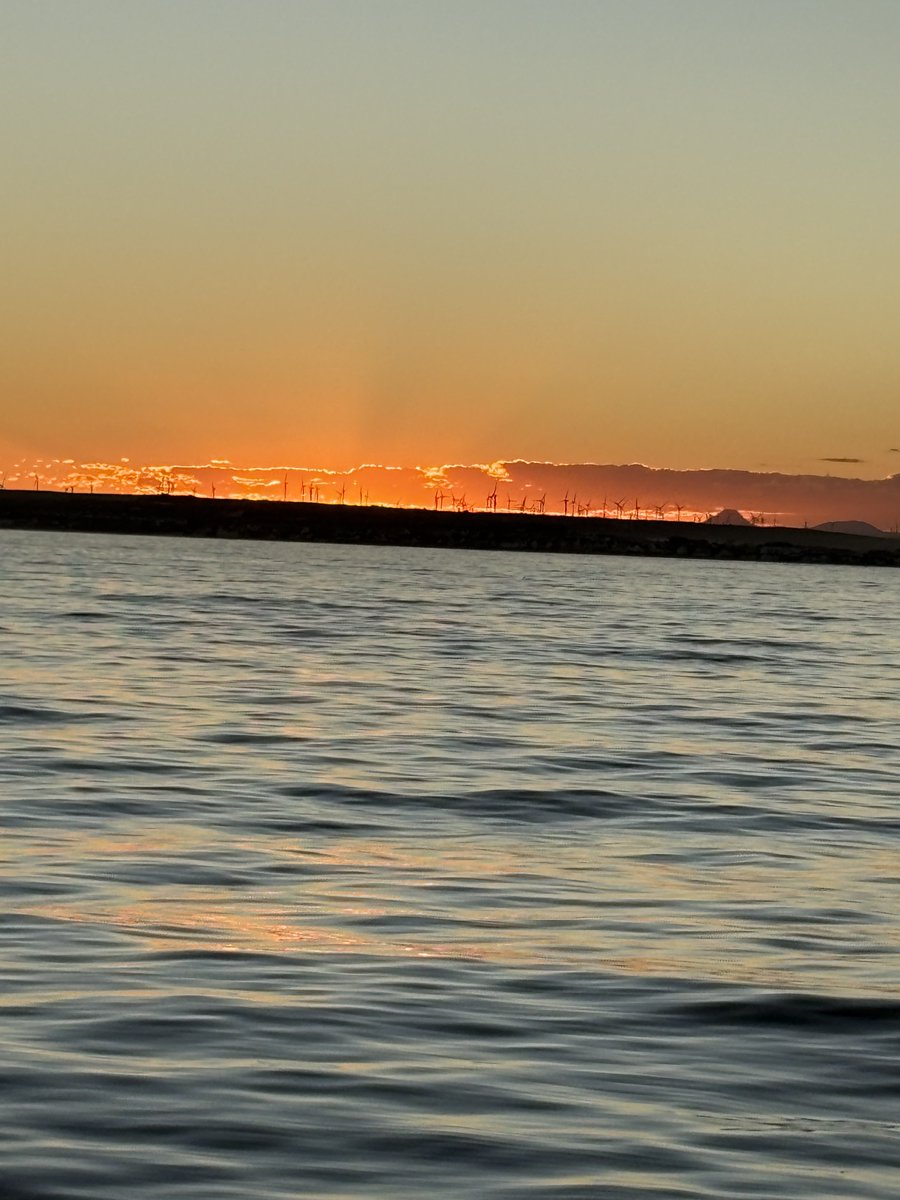 Capt Mylo tweet media