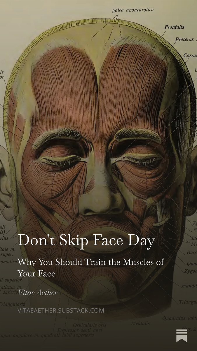 spheno_xiphoid's tweet photo. People will spend their entire lives meticulously training ever muscle in their body and yet won't spend a single moment on those in the face. These facial muscles aren't just for show, influencing a wide range of functions in your organism.

Don't skip face day. https://t.co/NQ5IxHd7js