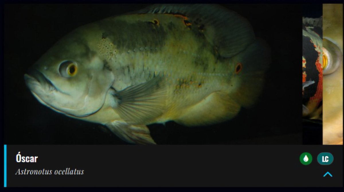 júls 🪩 tweet media