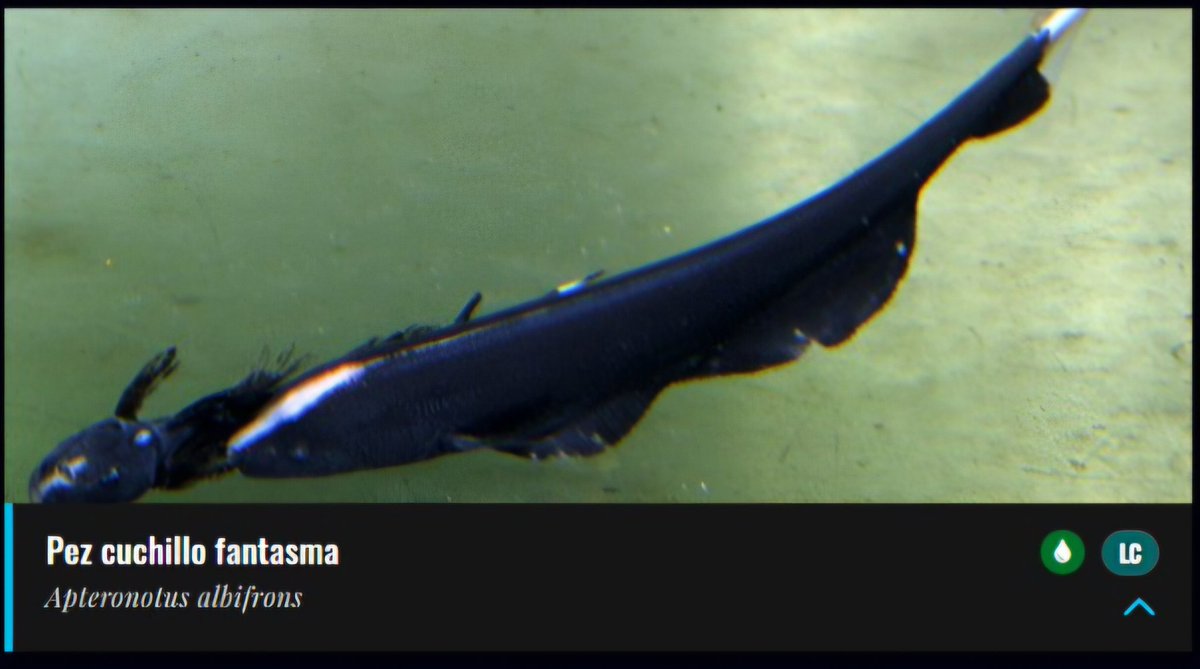 júls 🪩 tweet media