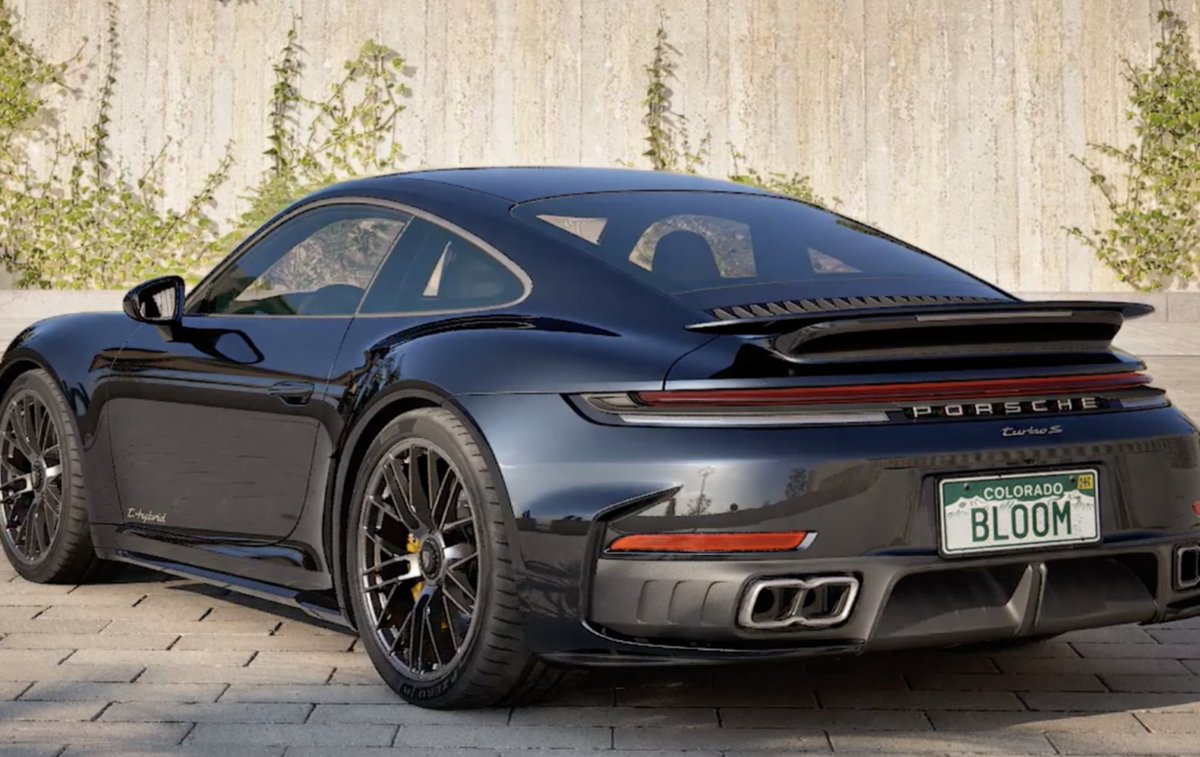 Domain Shane | Winterline tweet media