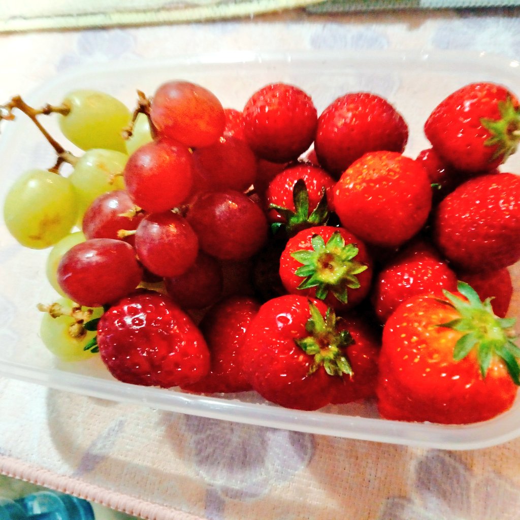 ねこぱんちあかね🐱💗 tweet media