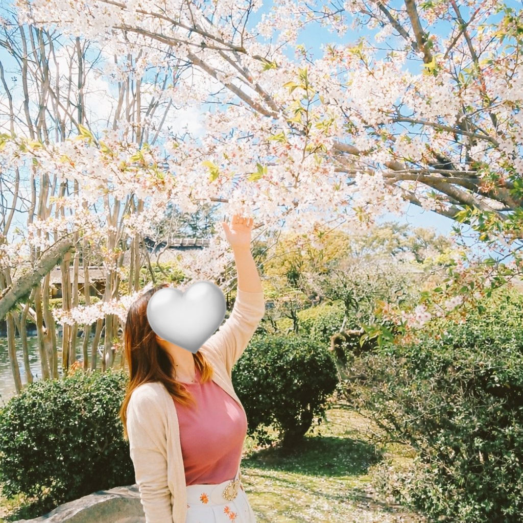 ねこぱんちあかね🐱💗 tweet media