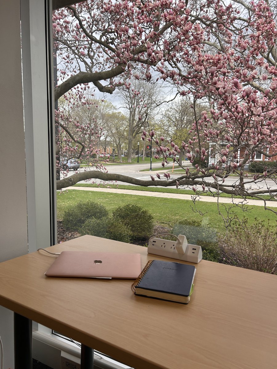 Kate Rietema tweet media