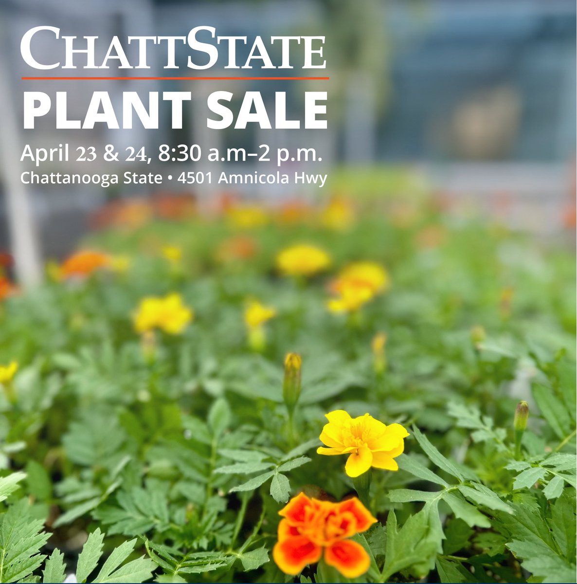 Chattanooga State Community College tweet media