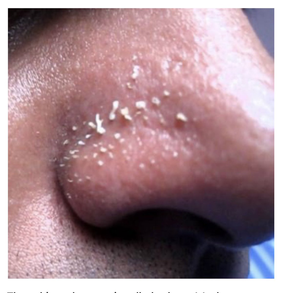 BIG JUNIOR tweet media