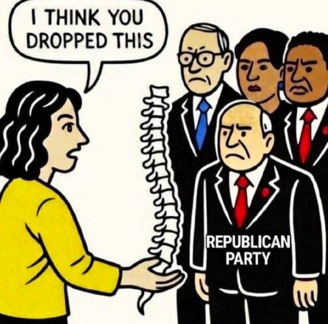 Democratic Coalition tweet media