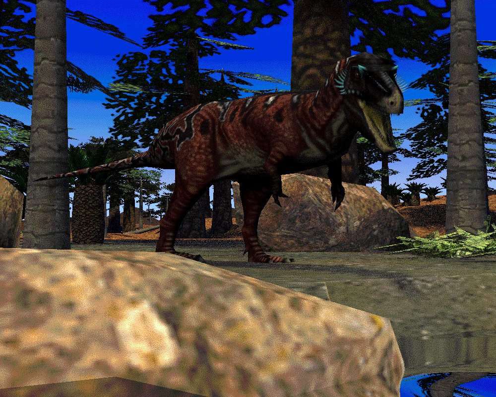 Nova Stein tweet media