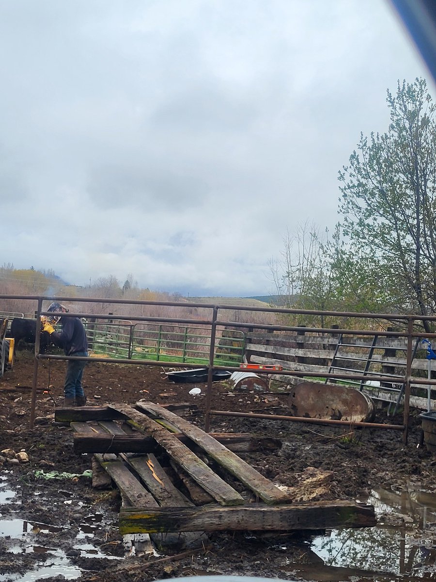 Hereford691's tweet image. Dad built these corrales in 65,  his grandson is about to get the last switched over to pipe