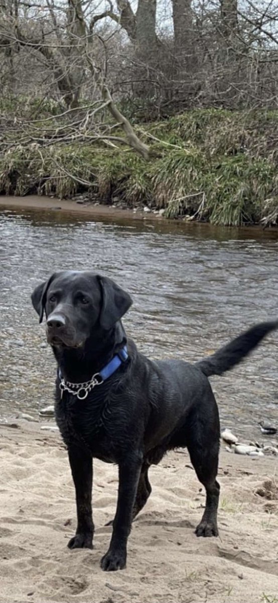 Amy ❯❯❯❯❯ tweet media