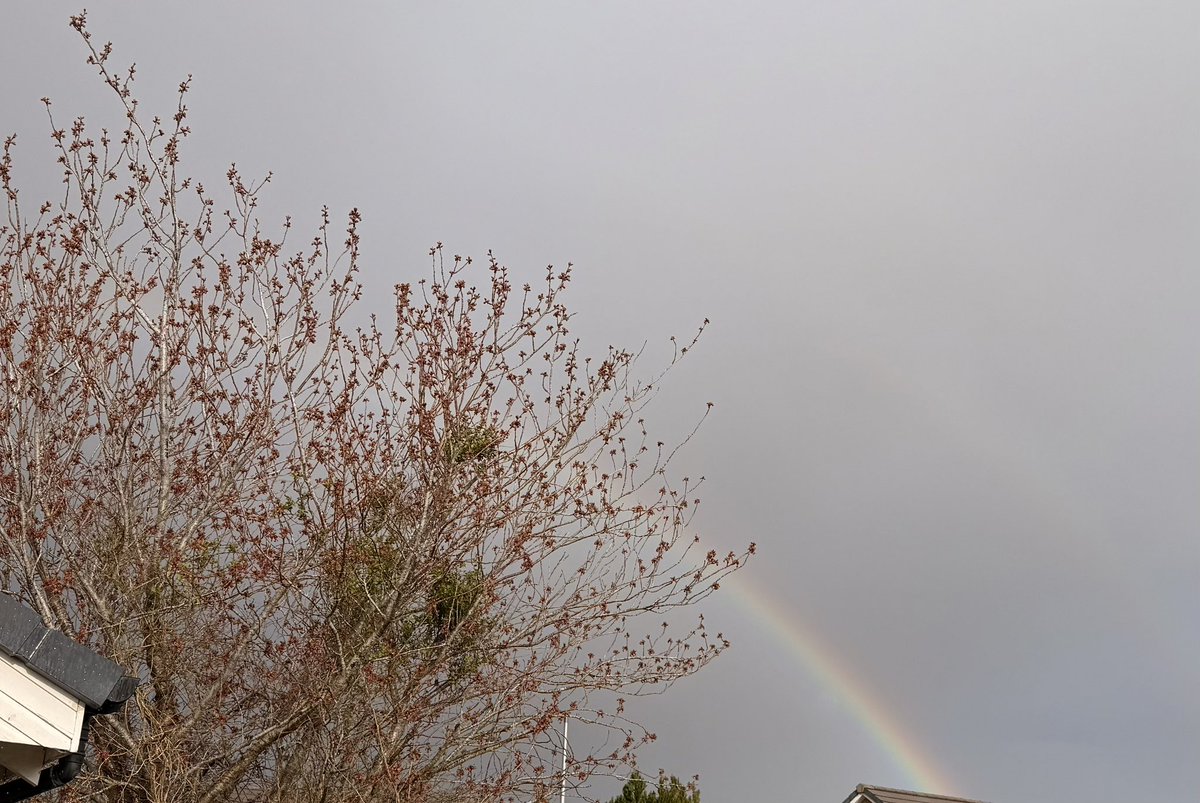 Amy ❯❯❯❯❯ tweet media