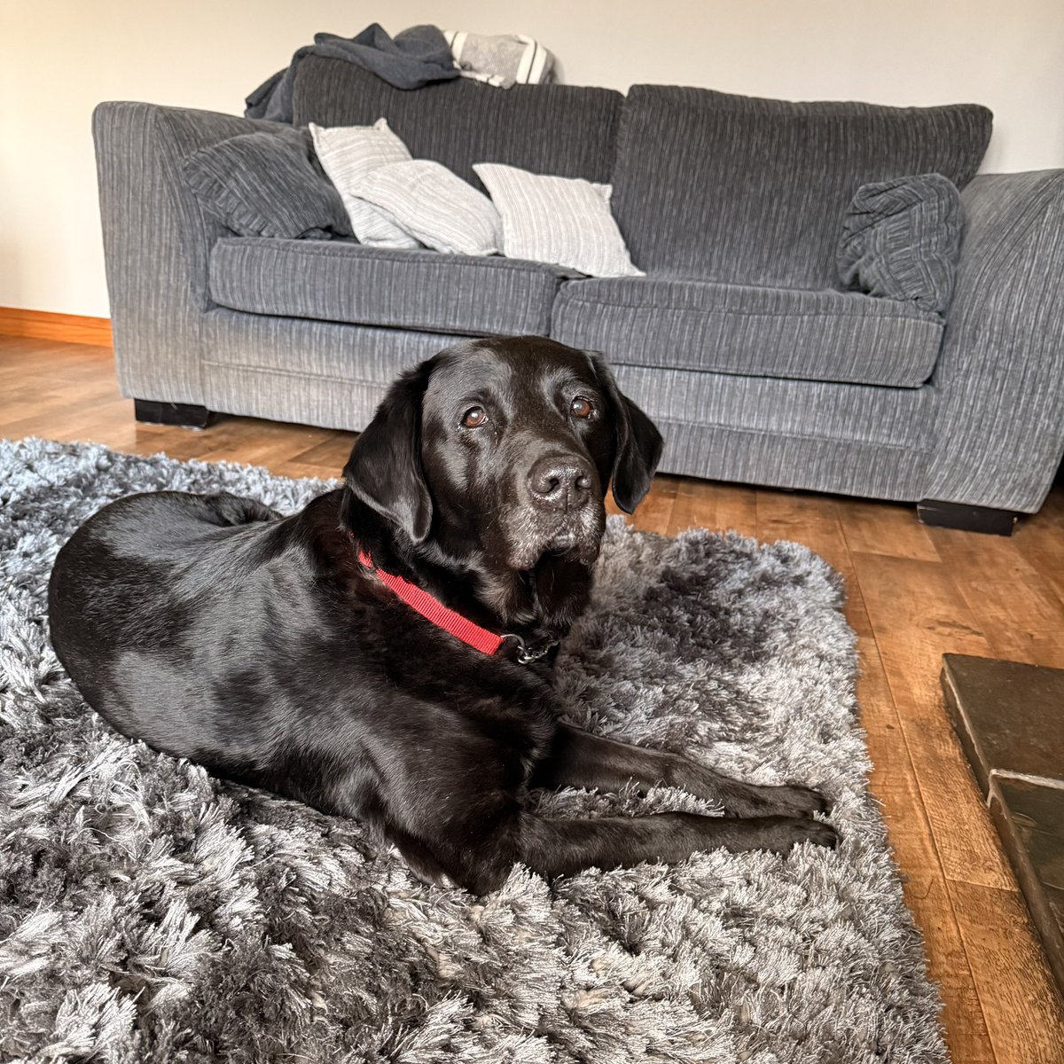 Amy ❯❯❯❯❯ tweet media