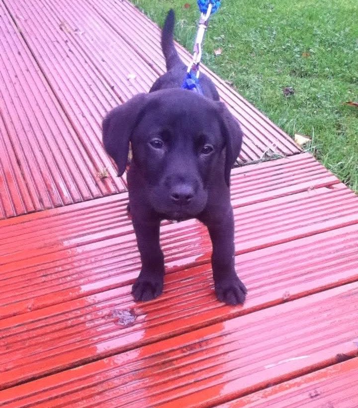 Amy ❯❯❯❯❯ tweet media