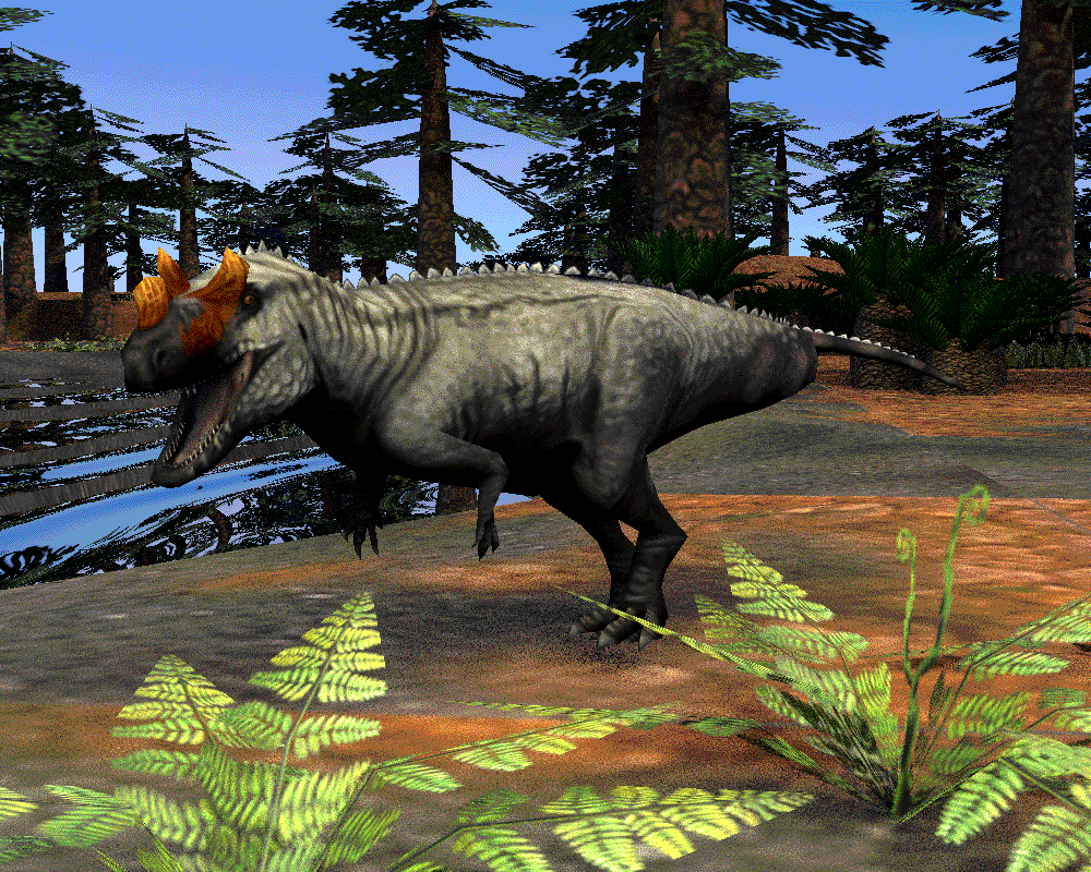 Nova Stein tweet media