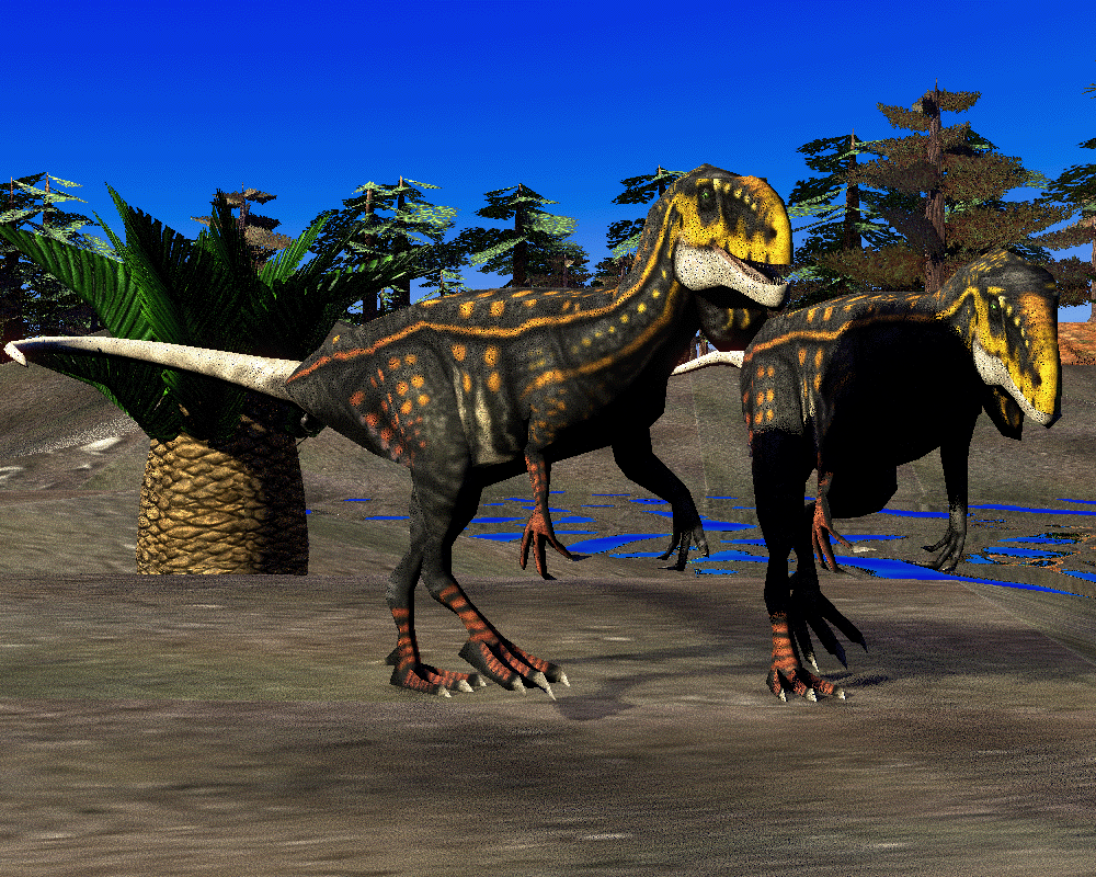 Nova Stein tweet media