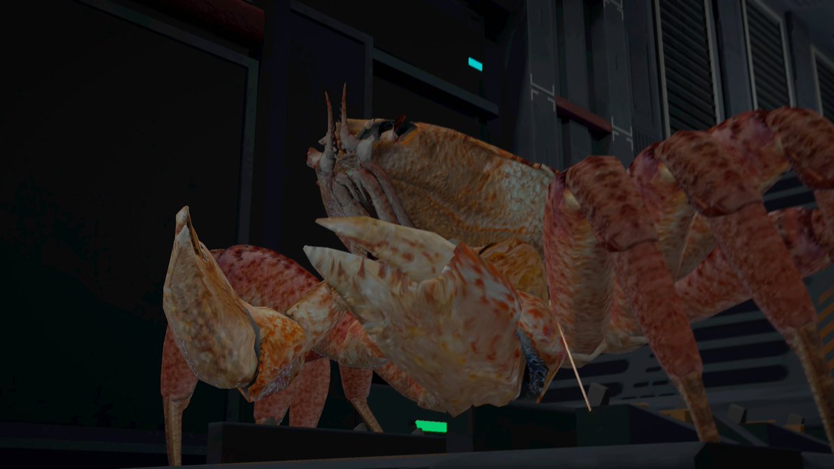 ﾕﾂﾞｷ蜜柑 tweet media