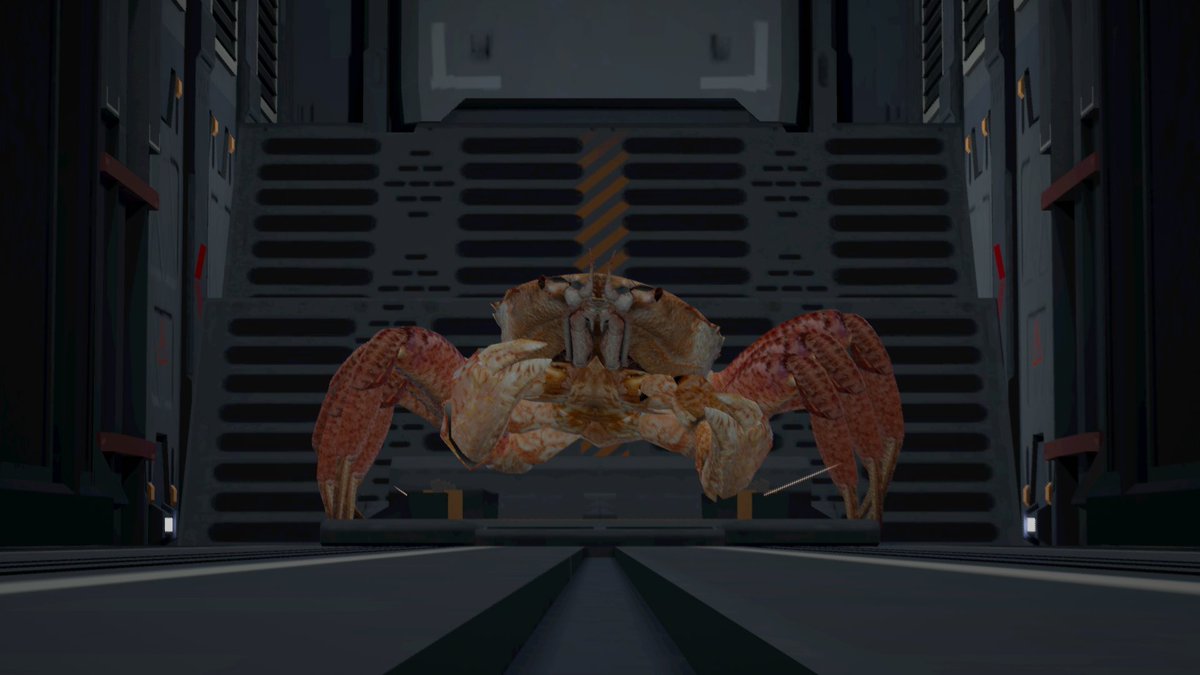 ﾕﾂﾞｷ蜜柑 tweet media