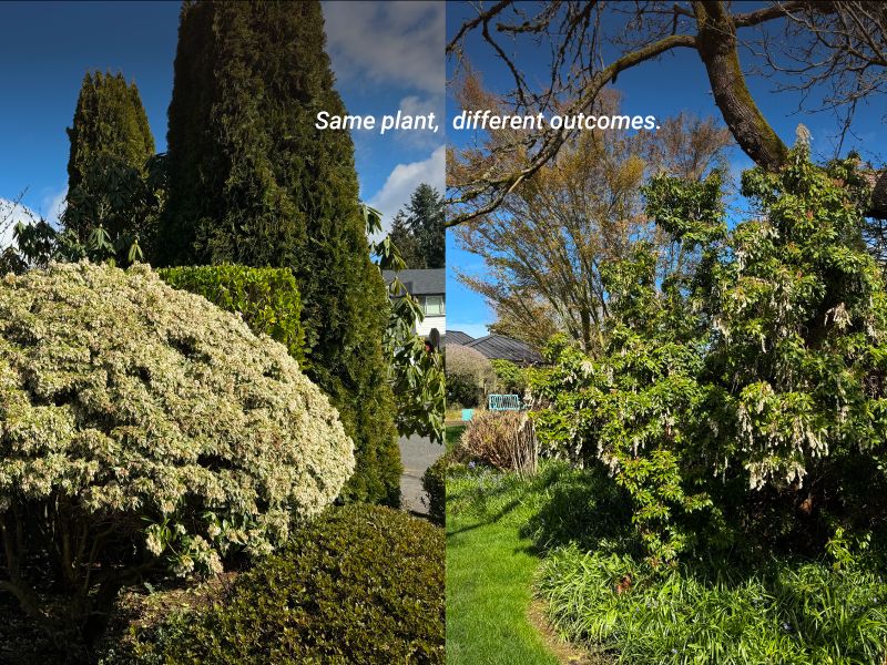 Seattle Sustainable Landscapes tweet media