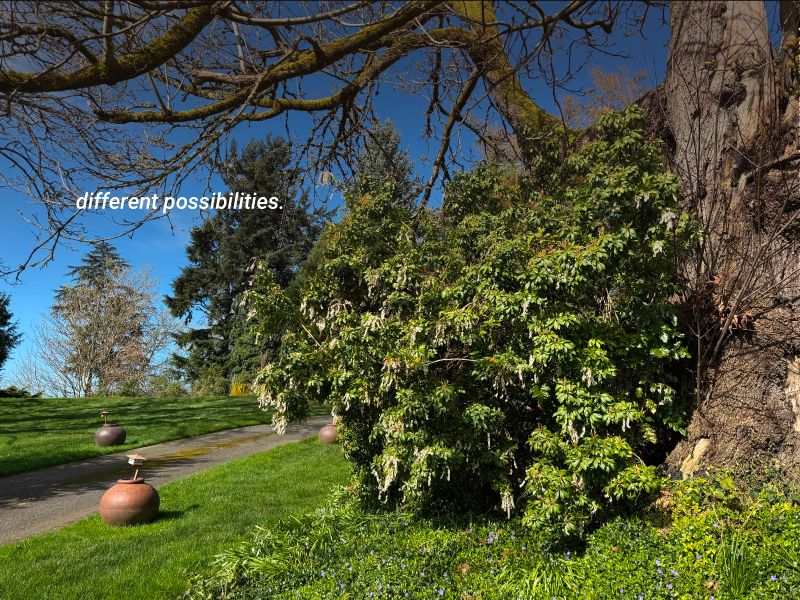 Seattle Sustainable Landscapes tweet media