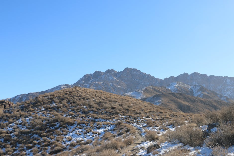 Nicole Jefferson tweet media