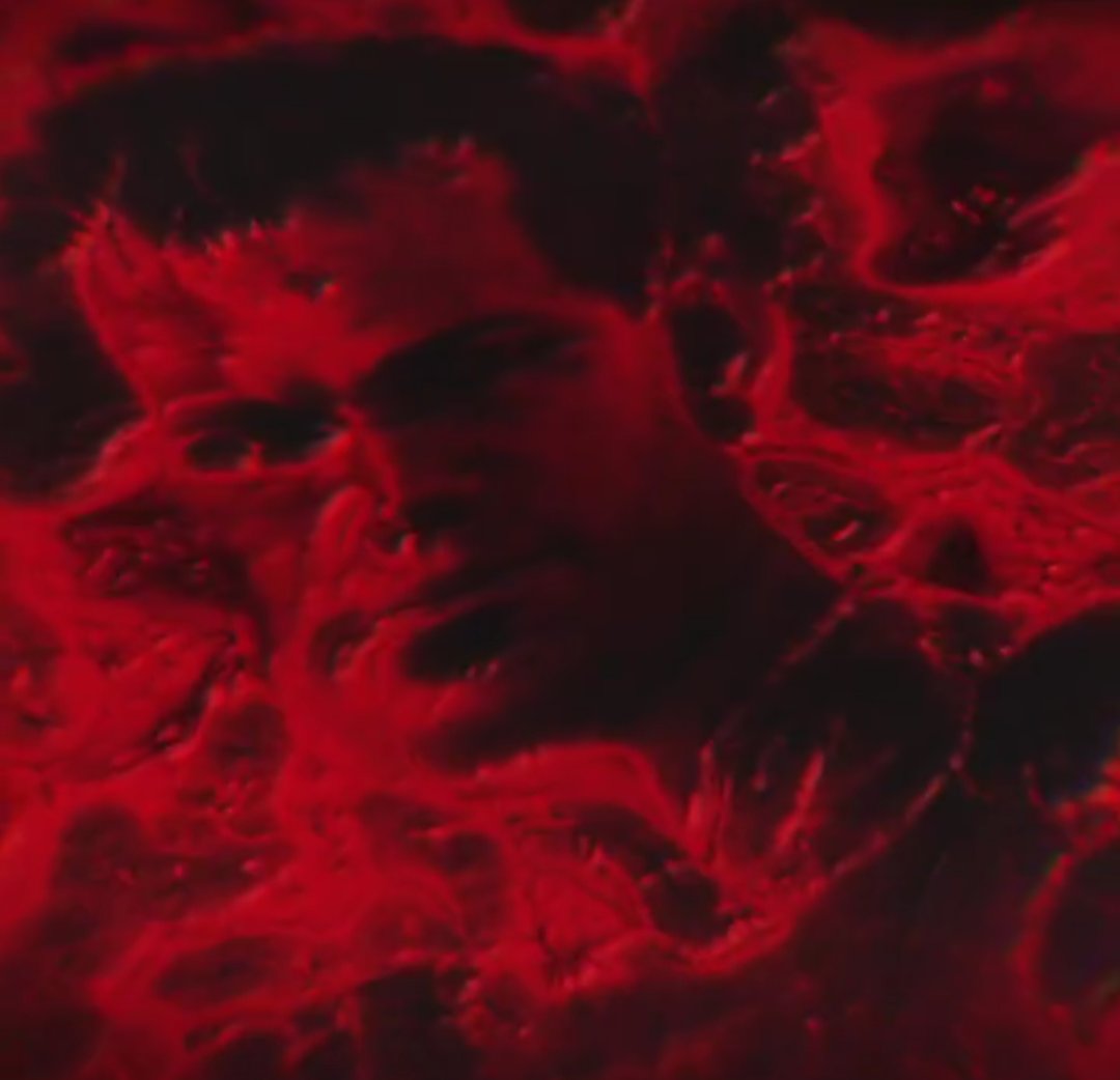 StaidBubble12 tweet media