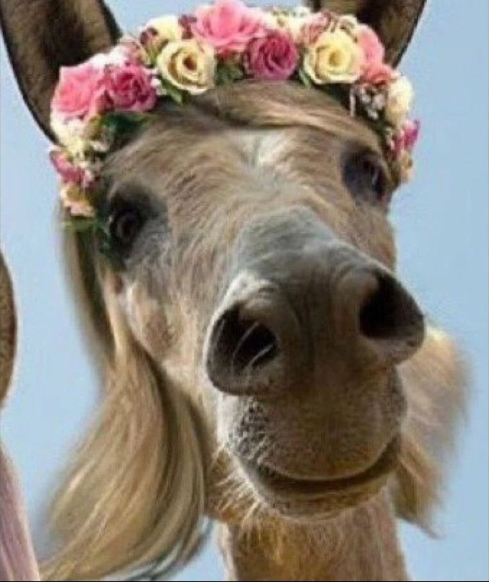 <a href="/apropriajulia/">Júlia Zanatta</a> Agora vocês começaram a acreditarem em pesquisas e que a terra é realmente redonda.  Kkkk