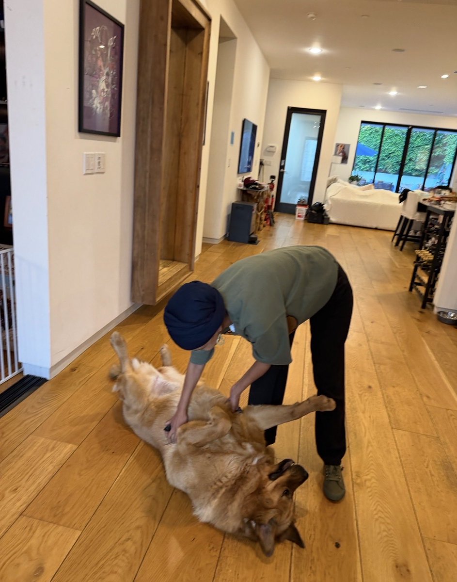 Ilhan Omar tweet media