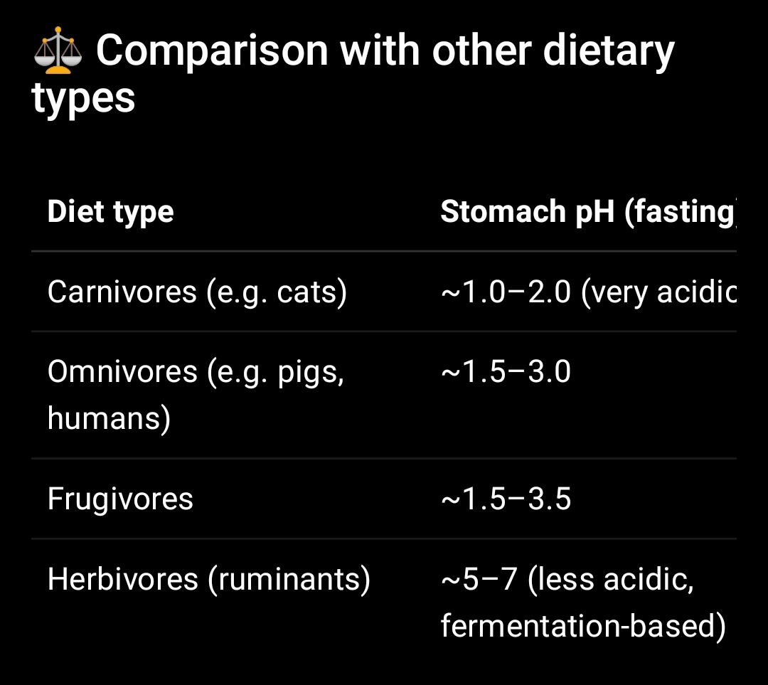 El Gwerito tweet media