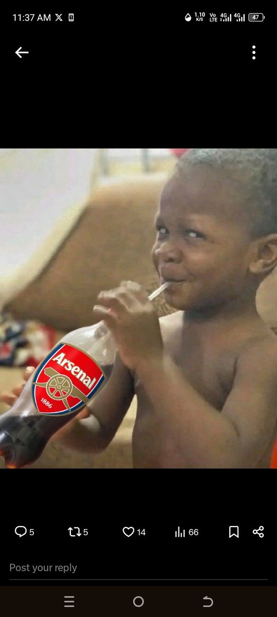 BennyJay- Lysosome tweet media