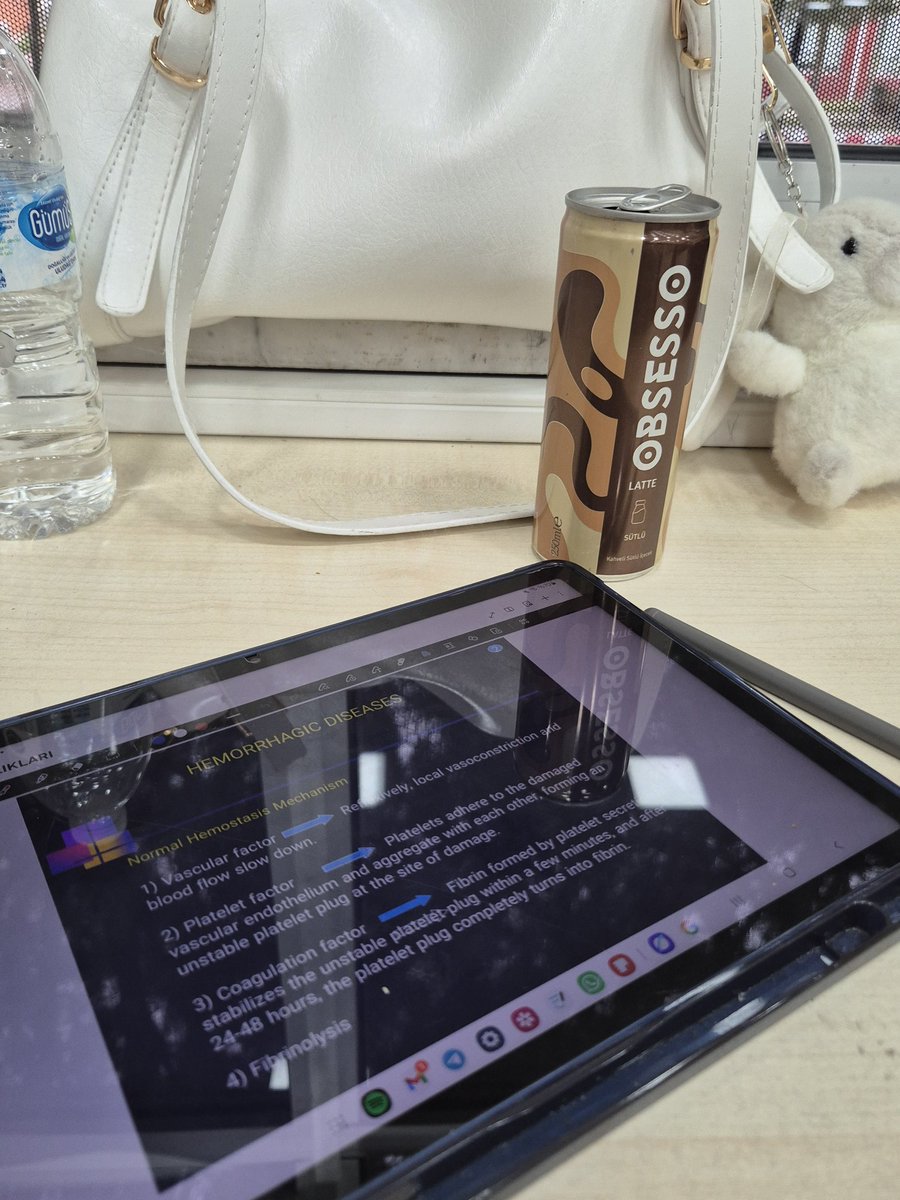 ya kök kaybolursa fobisi 🪩 #İzmirNefreti tweet media