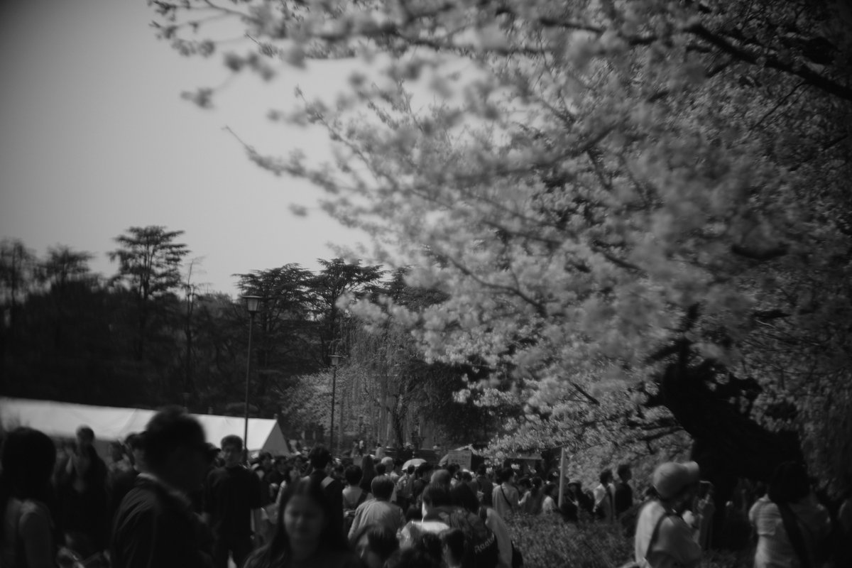 おーるどあんぷ/VRC/写真アカ tweet media