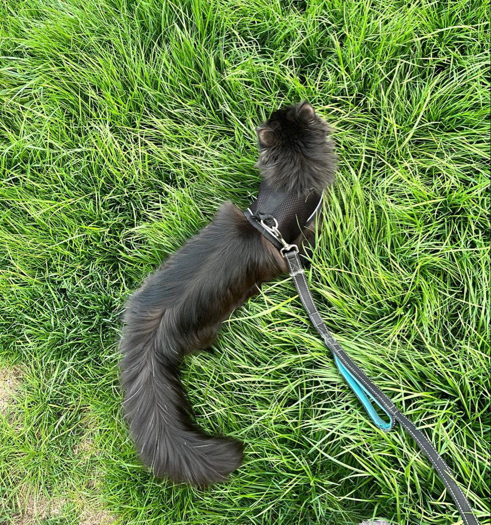 mltm🌸 tweet media