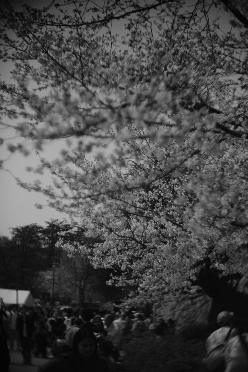 おーるどあんぷ/VRC/写真アカ tweet media