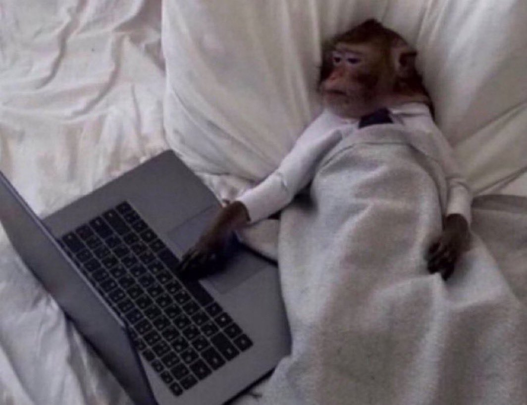 ثابت | جامعة الكويت tweet media