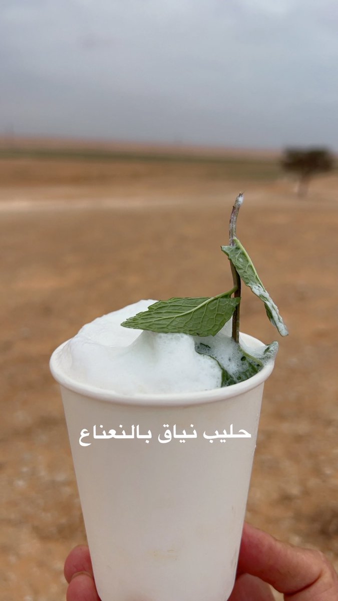د. حسن آل سعيد التميمي tweet media