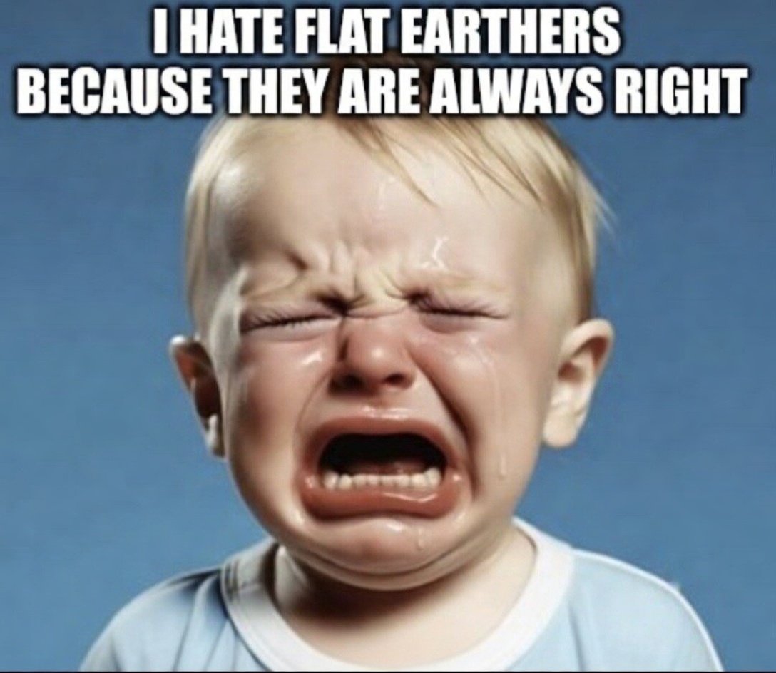 Kontsternasie tweet media