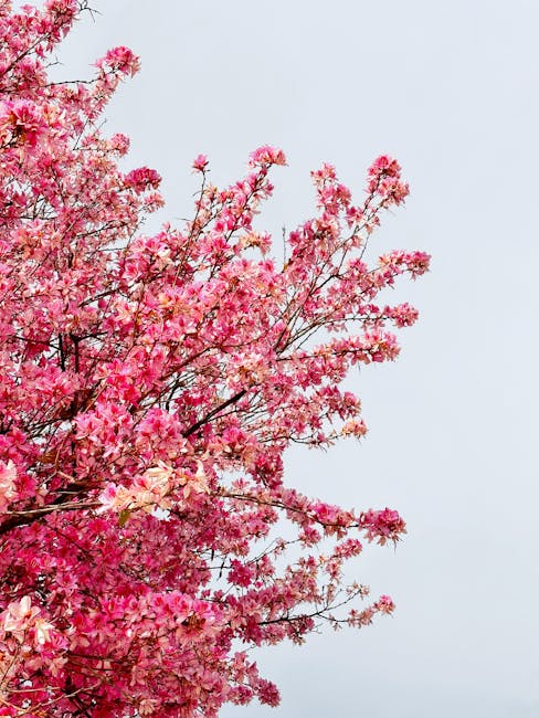 Roberto Jackson tweet media