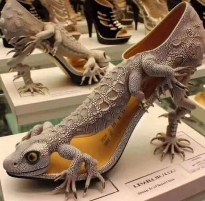 J.🅾️.P🌹💕 tweet media