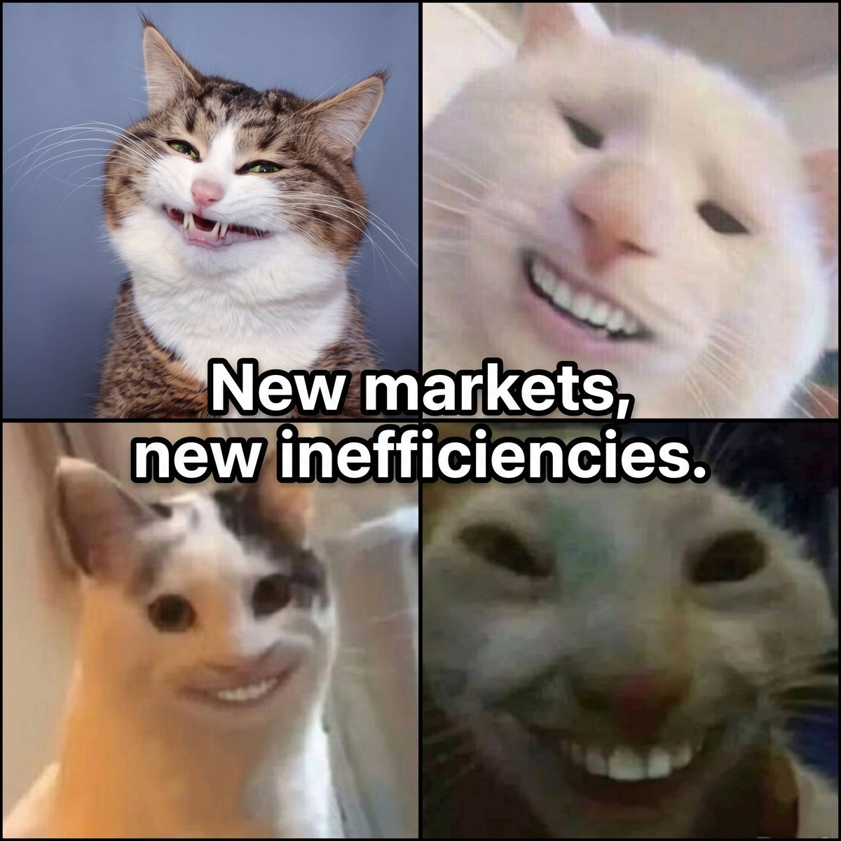 Polysnipes tweet media