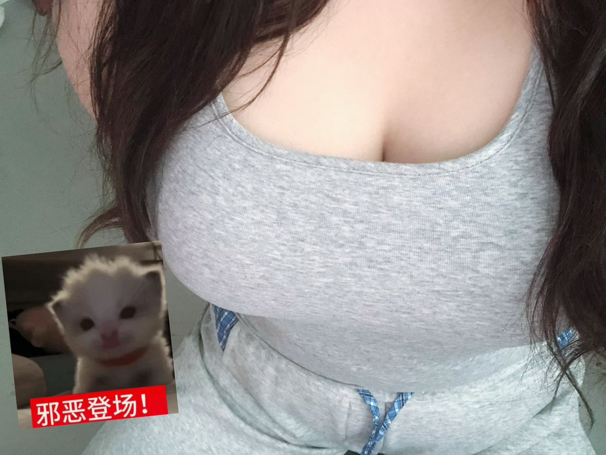 满满小狗 tweet media
