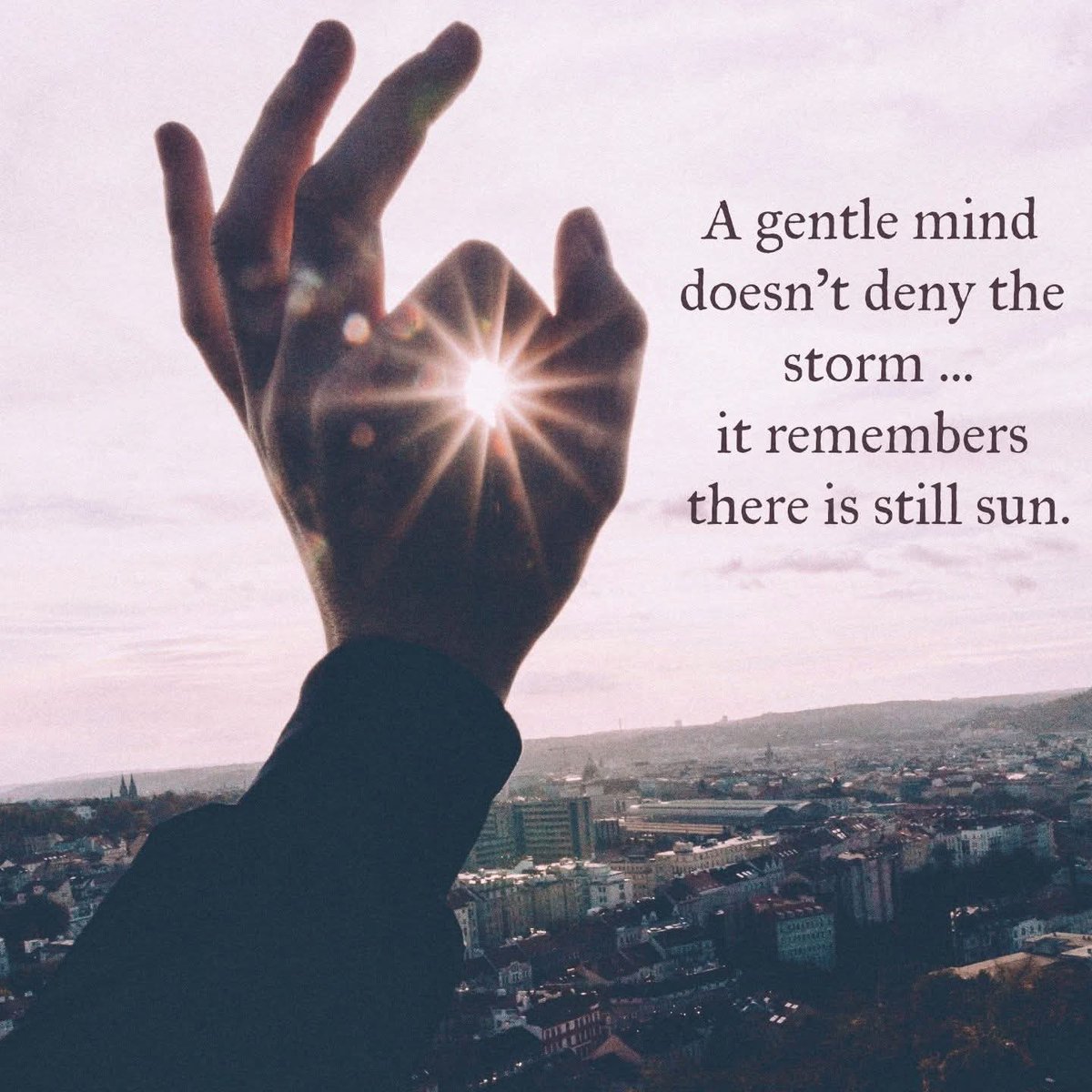 AWillbrandt1047's tweet photo. A gentle mind holds onto its light in storms, knowing this too shall pass and the sun will return.🌞#GentleMind #InnerPeace #quotes https://t.co/xrIjAZwYDE