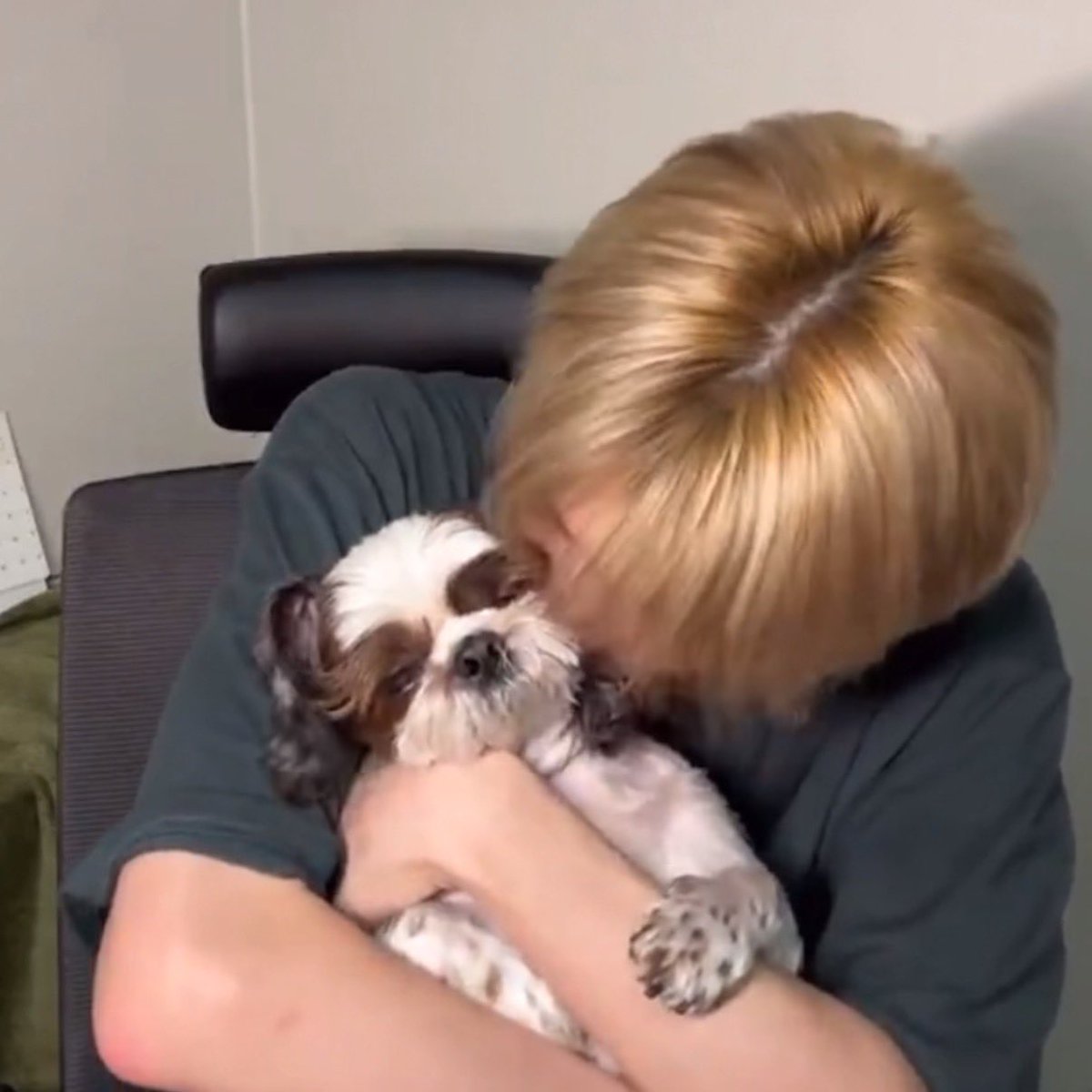 𝙏𝙤𝙖𝙨𝙩 tweet media