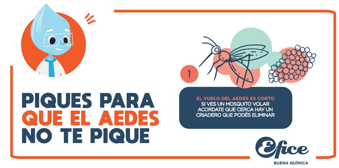Efice_uy's tweet image. Si ves un mosquito, hay un criadero cerca.

Vaciar agua no alcanza.
Hay que lavar y desinfectar.
El hipoclorito ayuda a eliminar larvas.

#Aedes #Prevención #Efice
