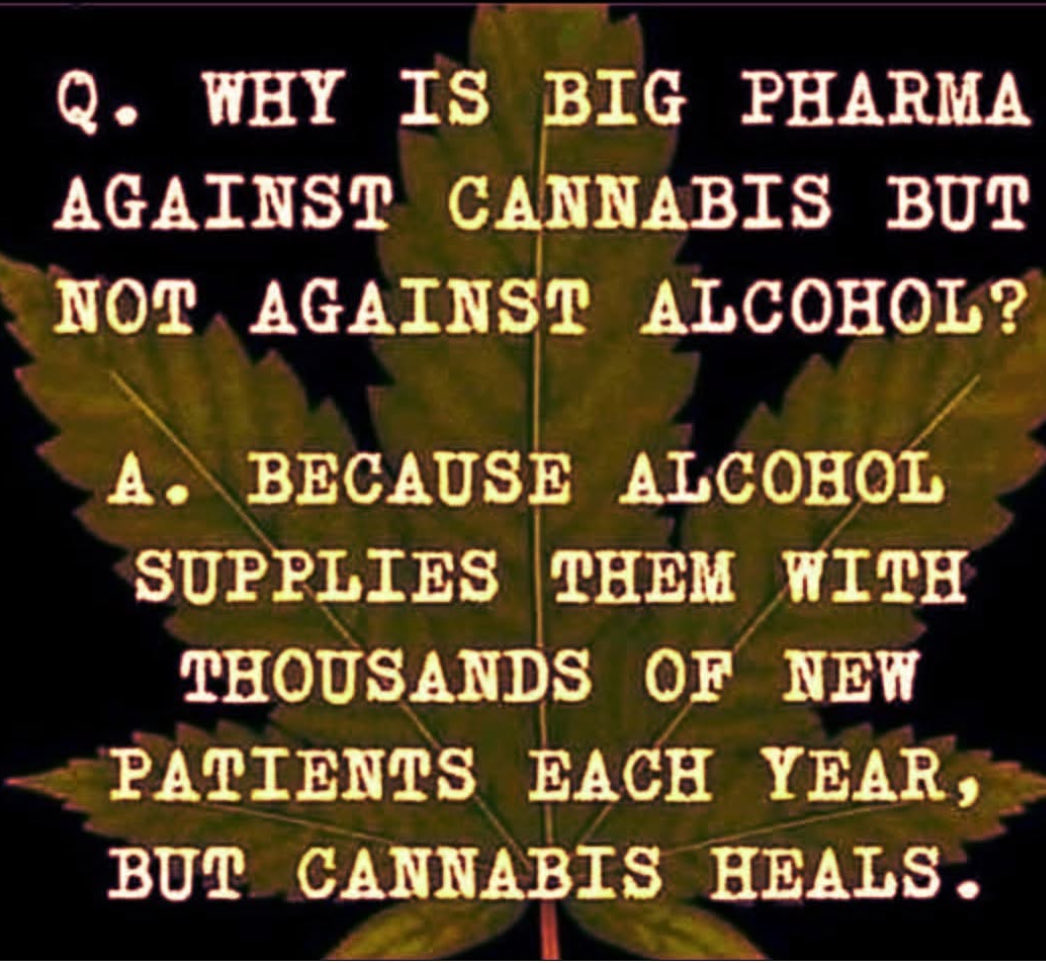 rogueherbalism's tweet photo. THIS 💯🎯.  When it lacks logic, just follow the money 💰 https://t.co/oMitazytaq