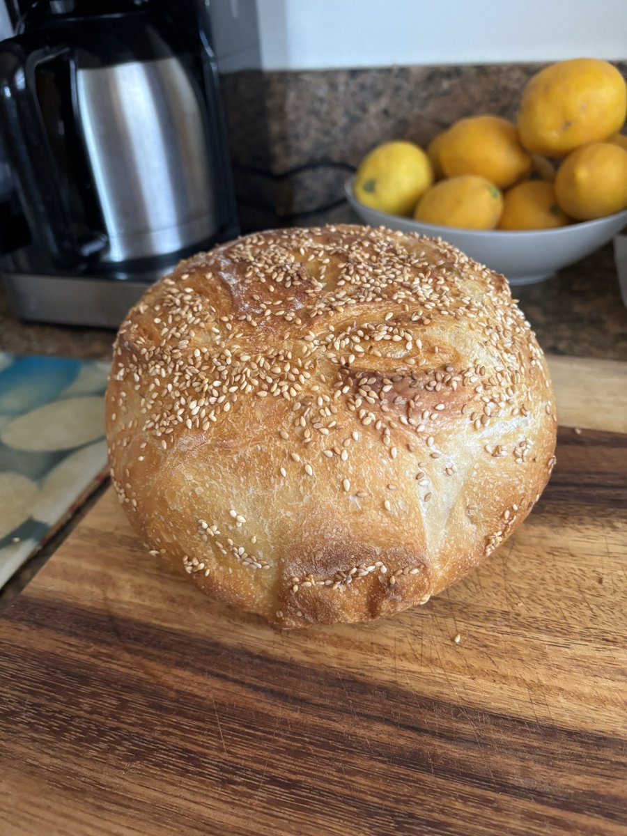 coco 🌹💐🌛💐🌛💐🌹💐🥰 tweet media