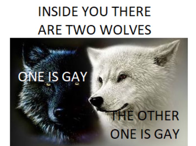 Eoin ☆ ▹ tweet media