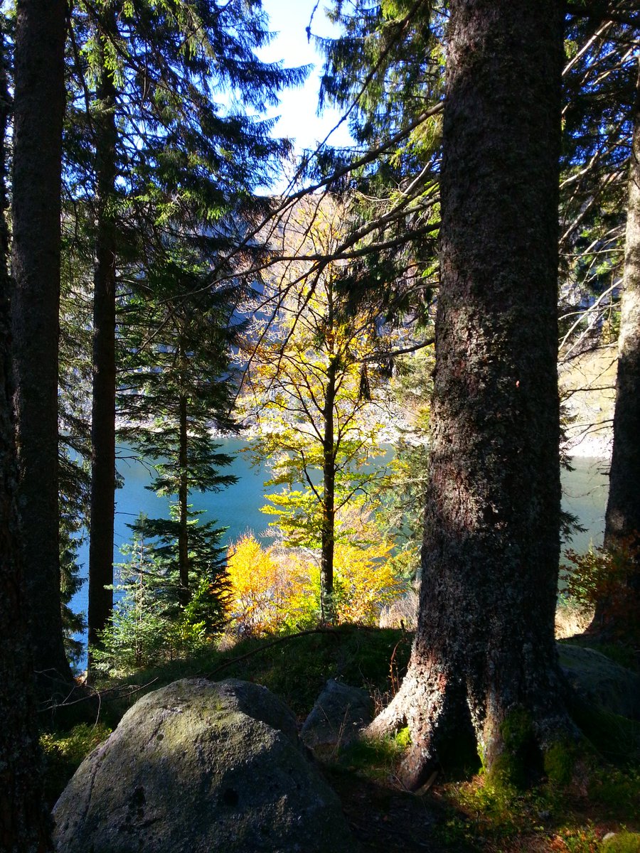 's tweet image. #photos #Alsace #Sousbois