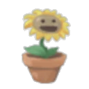 i had no idea tweet media